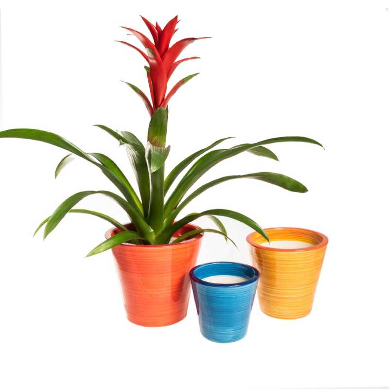 Planters Set "Vaso" 3 sizes...